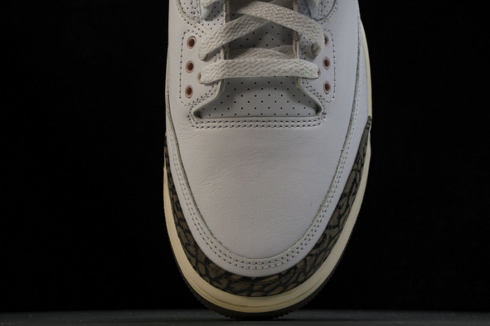 AIR JORDAN 3 RETRO DH3434-113