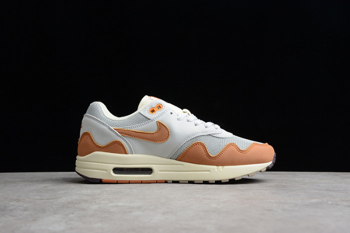 NIKE AIR MAX 1 PATTA WAVES MONARCH DH1348-001