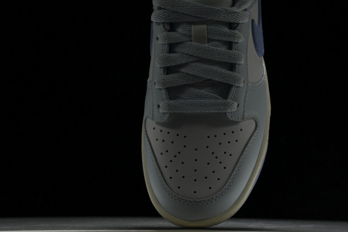 Nike Dunk Low NEXT NATURE DD1873-400