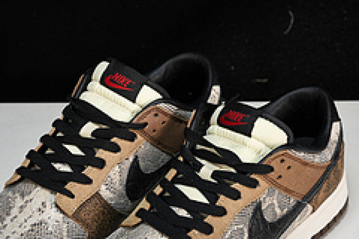 Nike Dunk Low Premium ATMOS  FJ5434-120