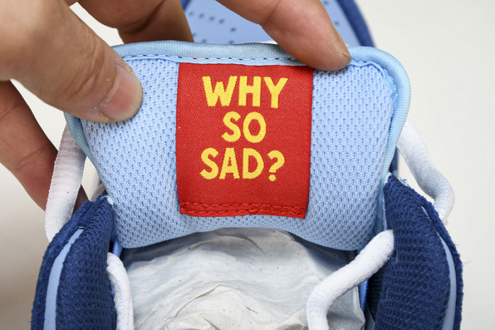 Nike Dunk SB Low PRM WSS  DX5549-400