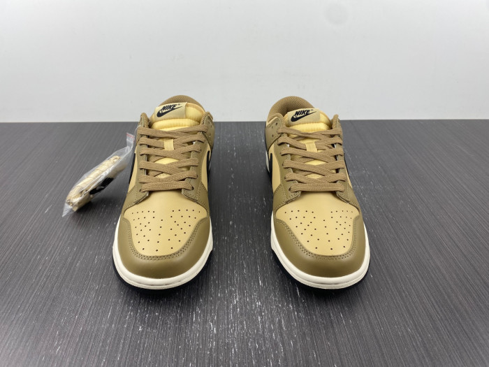 Nike SB Low Dark Driftwood DD1503-200