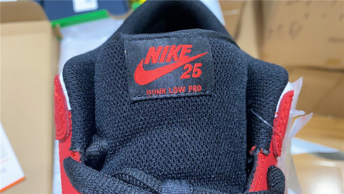 Nike SB Dunk Low 25th years 309242-307